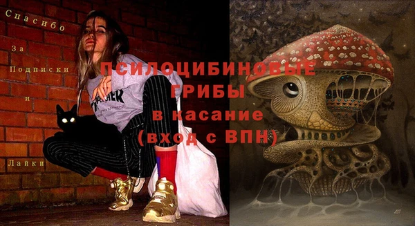 гидра Волоколамск
