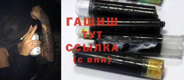 2c-b Горно-Алтайск