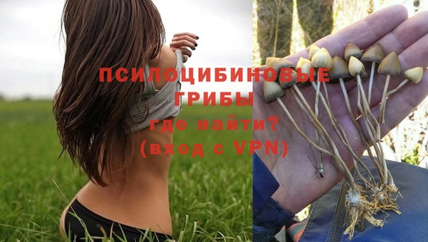 гашик Володарск