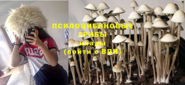 PSILOCYBIN Вязники
