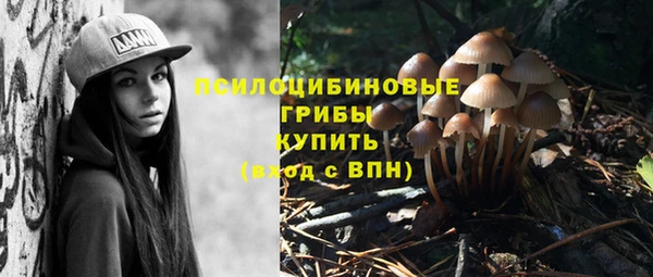 прущие крисы Волосово