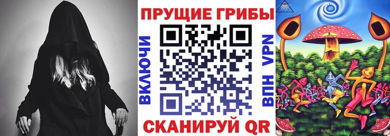 где купить наркоту  Енисейск  darknet телеграм  Псилоцибиновые грибы Psilocybe  ссылка на мегу tor 